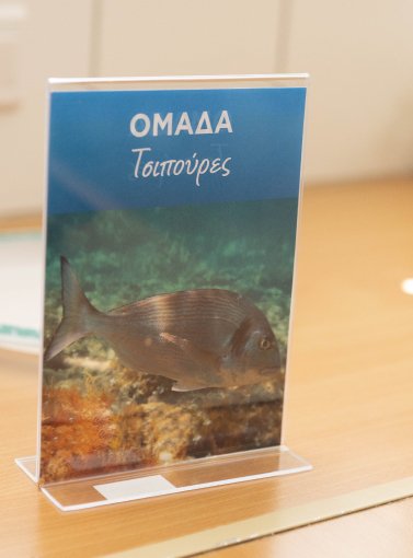 Σερβίρισμα πιάτου με θαλασσινά